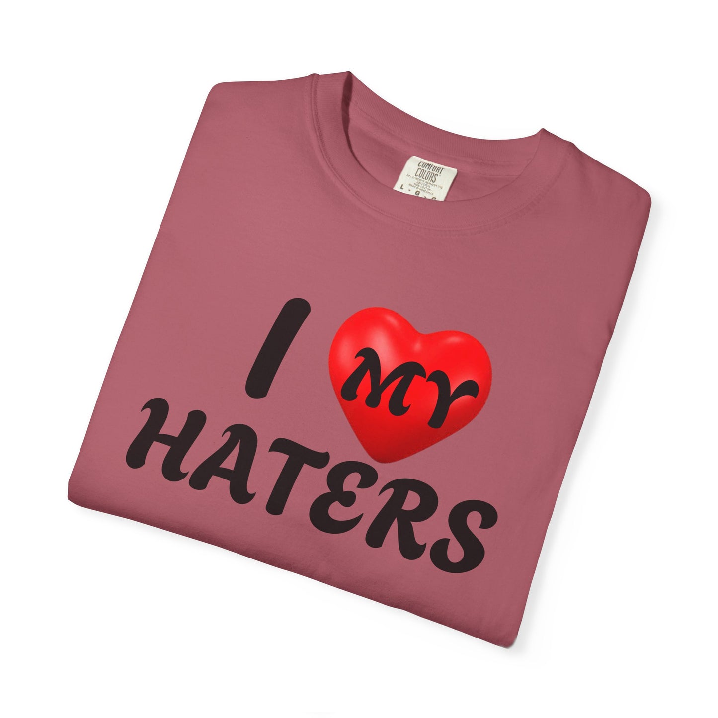 I Love My Haters