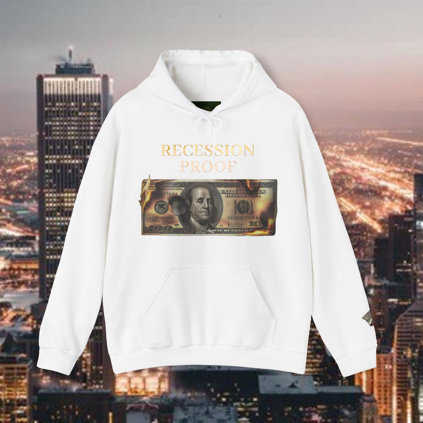 Recession Proof Hoodie Sweatshirt