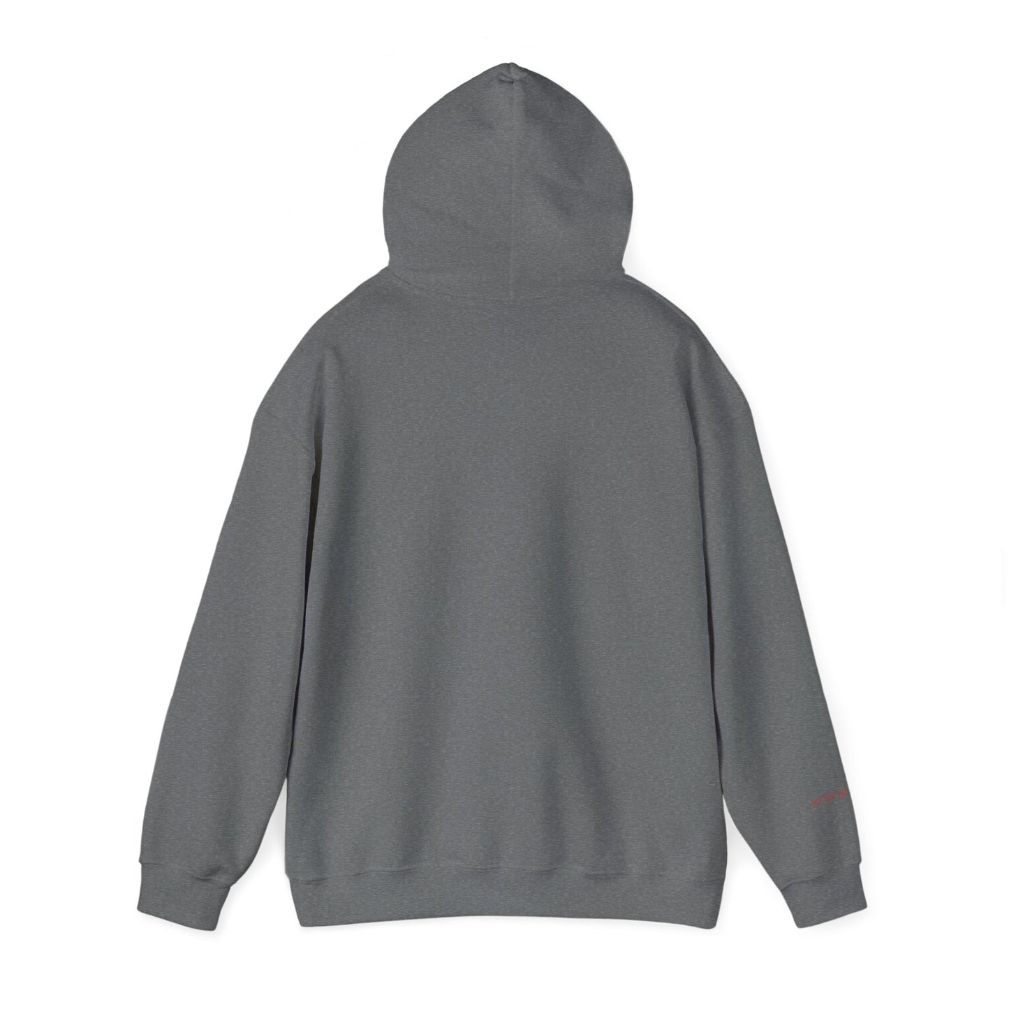 Hooded Sweatshirt - D.E.V.I.L.S. Revenge