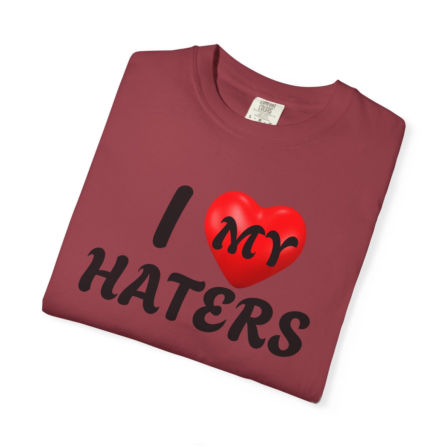 I Love My Haters