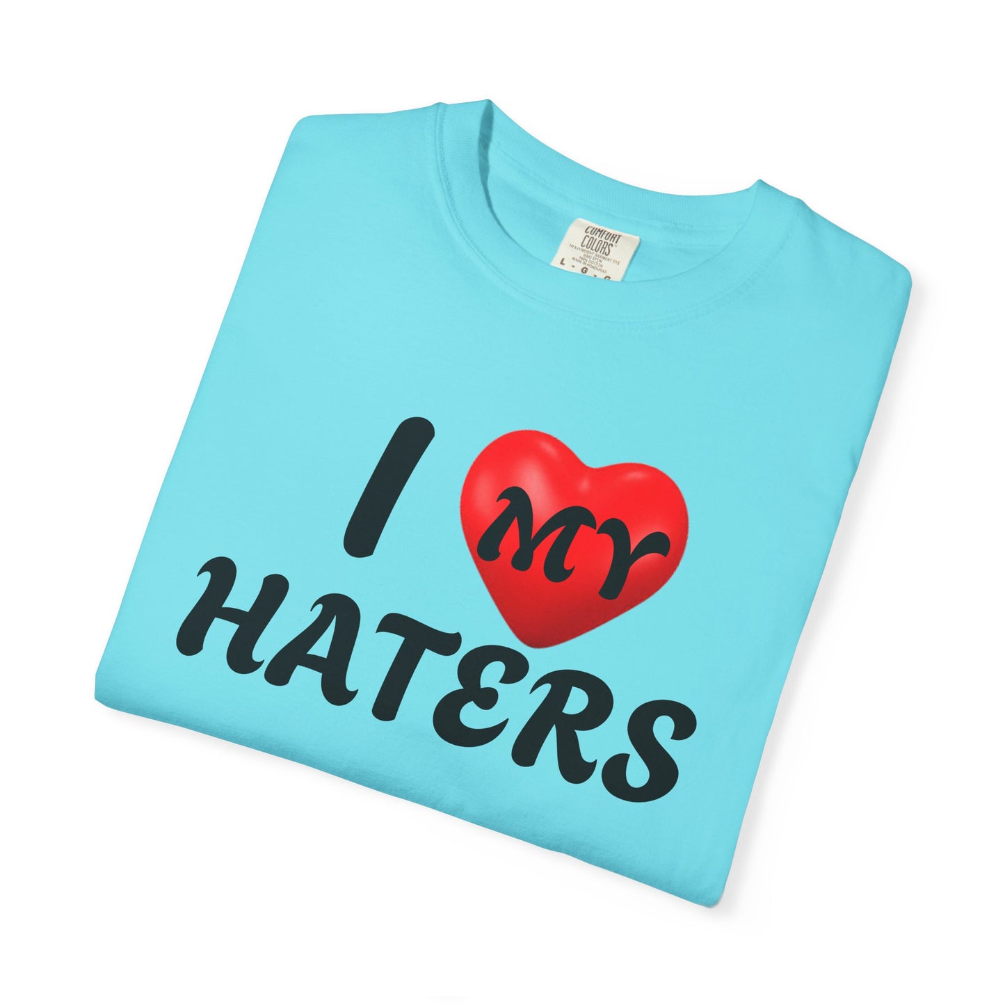 I Love My Haters