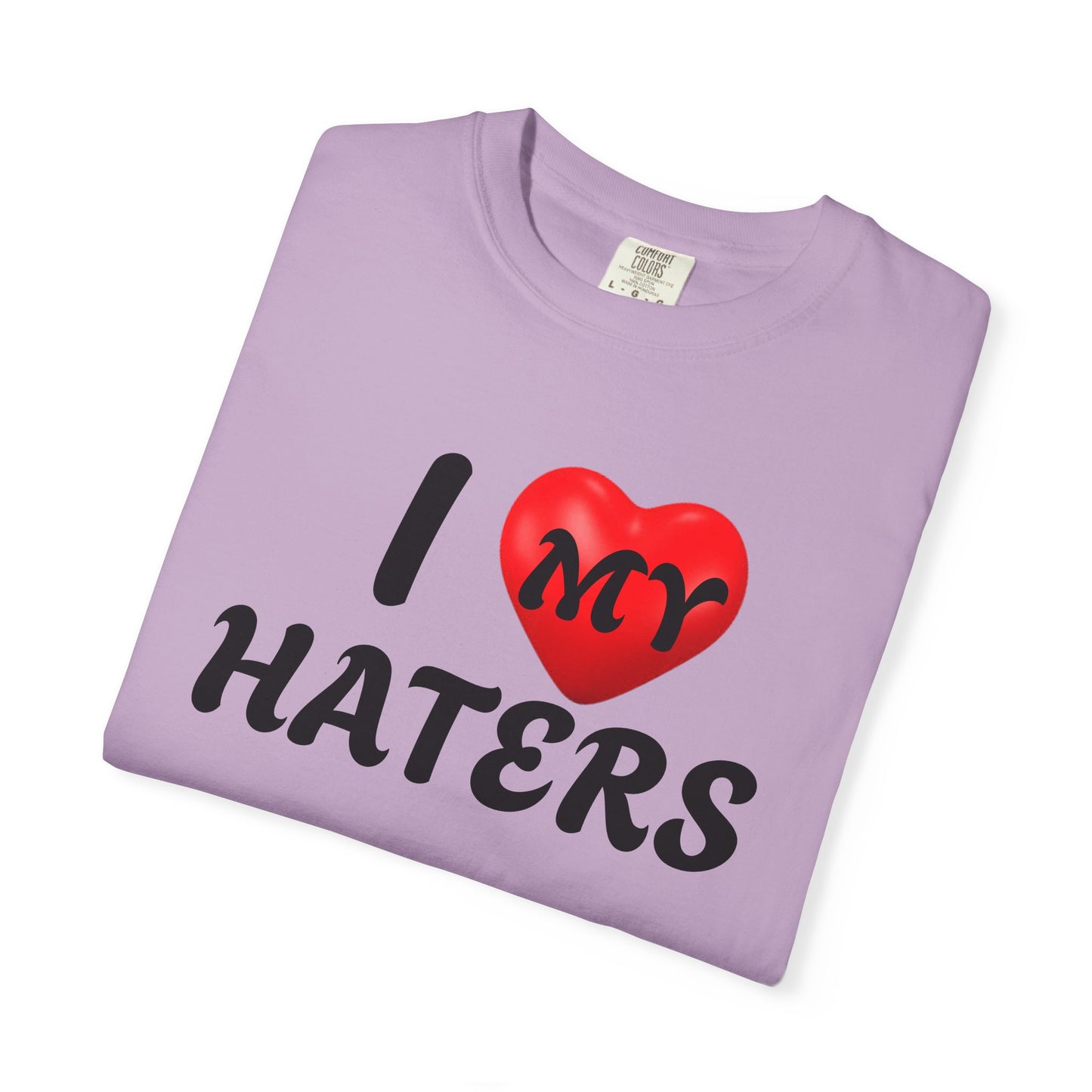 I Love My Haters