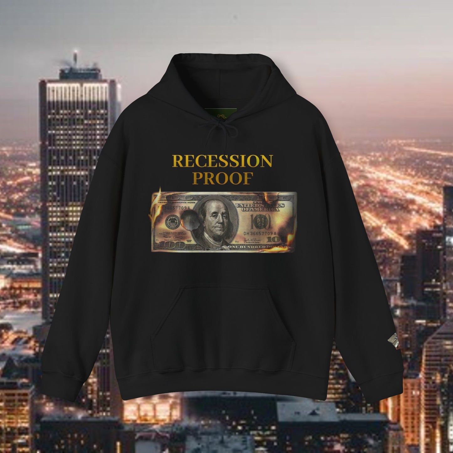 Recession Proof Hoodie Sweatshirt