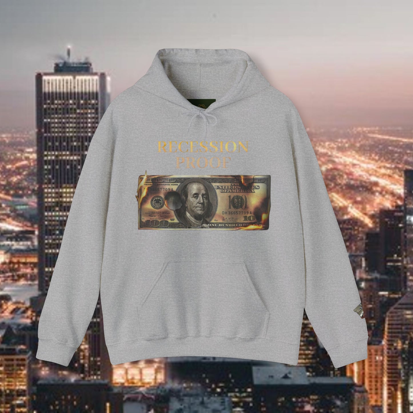 Recession Proof Hoodie Sweatshirt