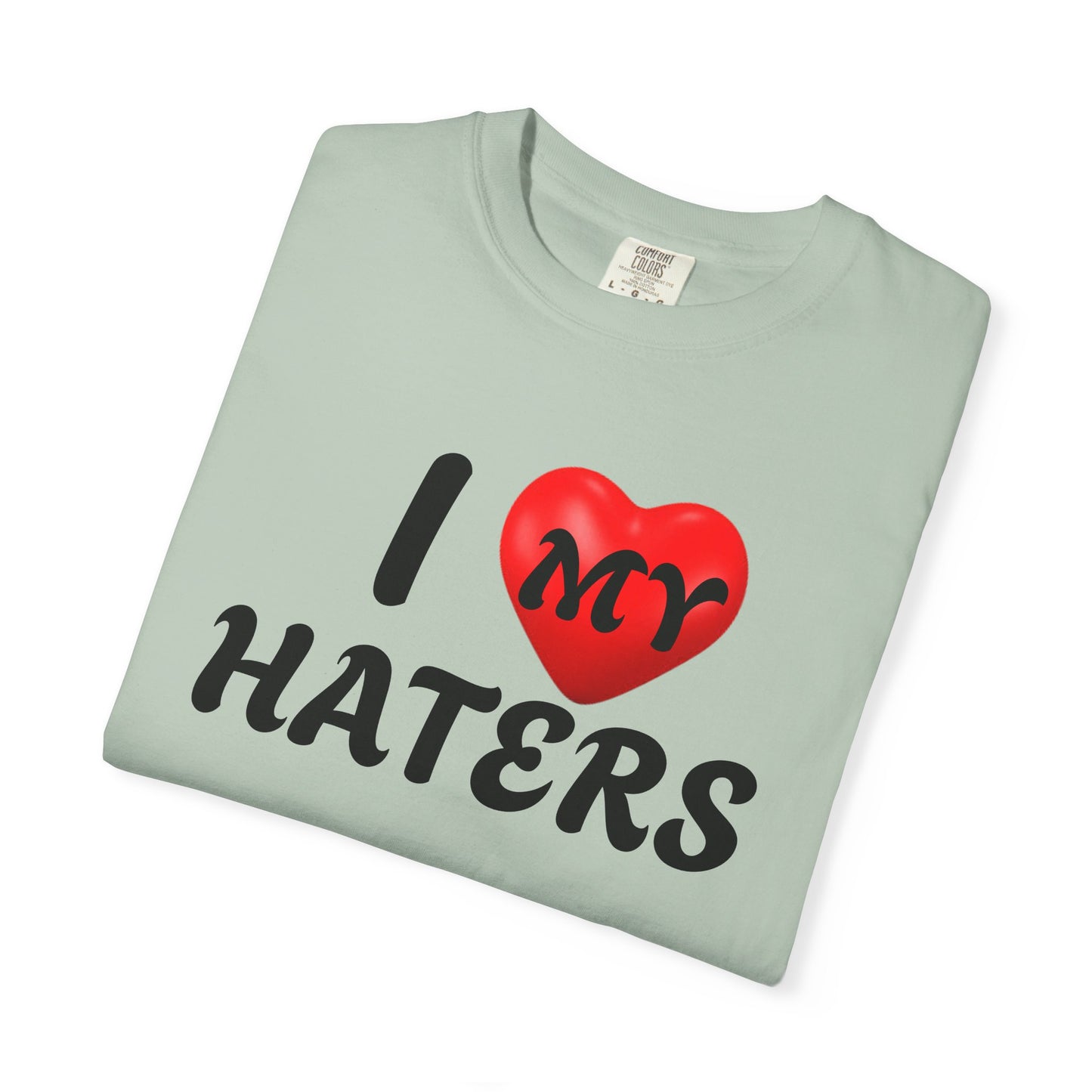 I Love My Haters