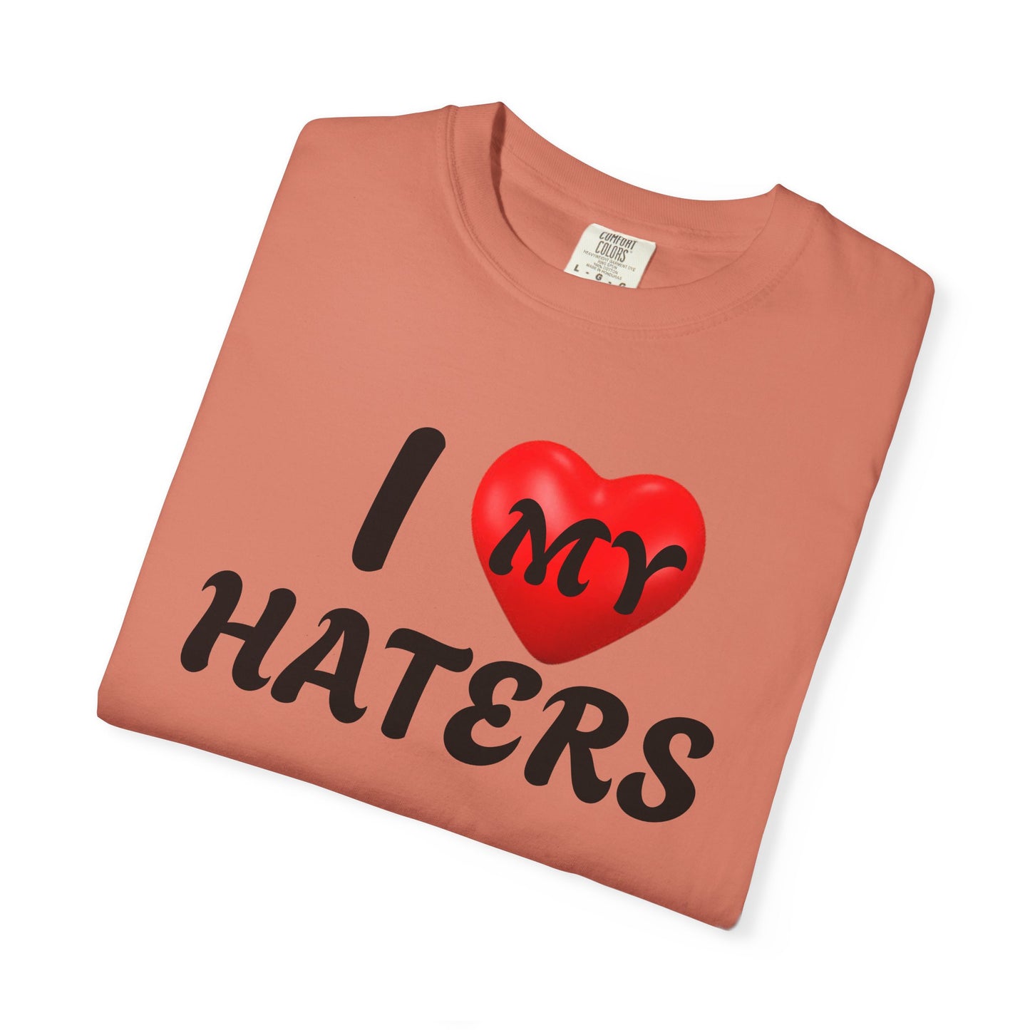 I Love My Haters