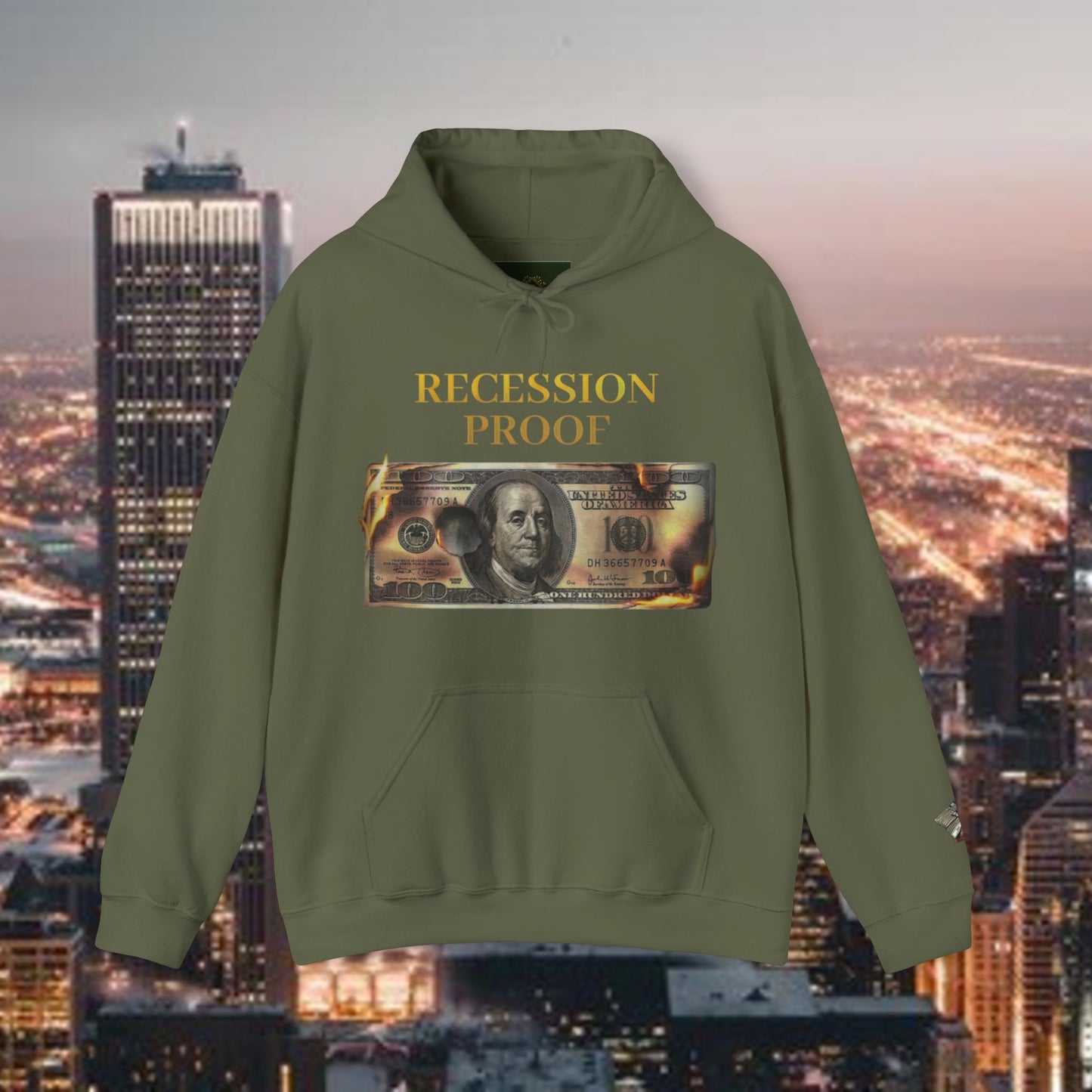 Recession Proof Hoodie Sweatshirt