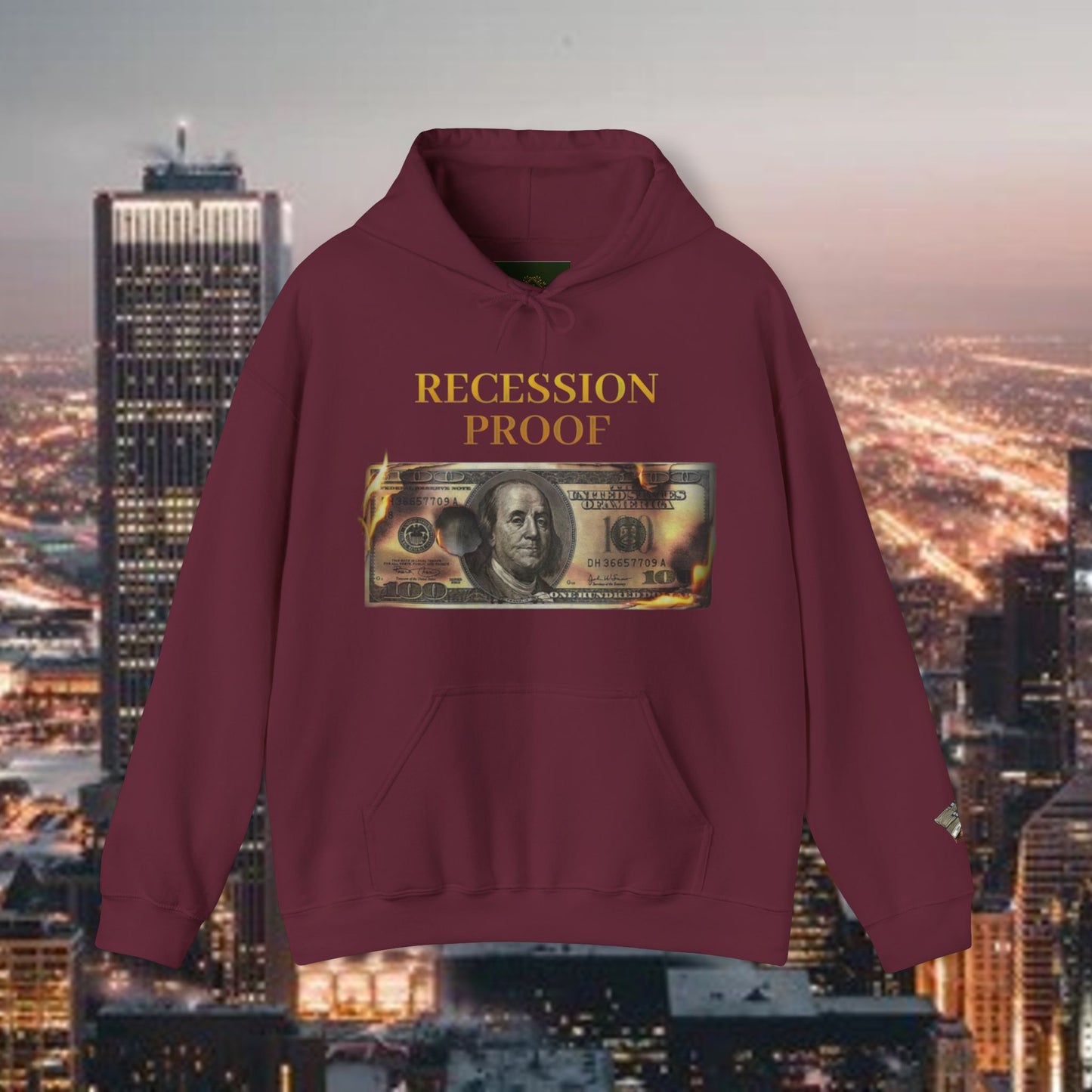 Recession Proof Hoodie Sweatshirt