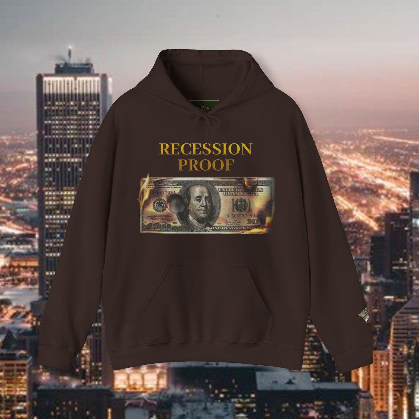 Recession Proof Hoodie Sweatshirt