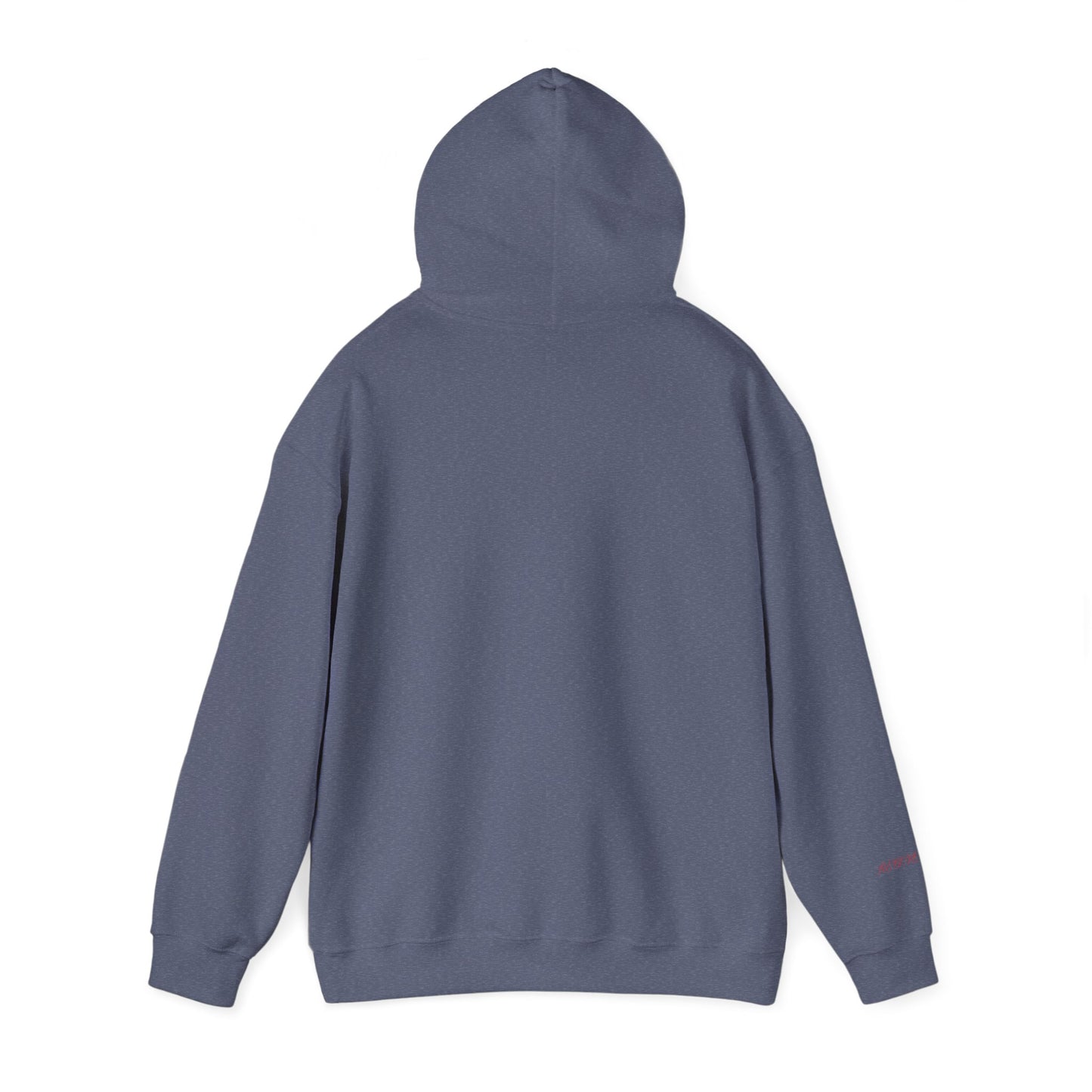 Hooded Sweatshirt - D.E.V.I.L.S. Revenge